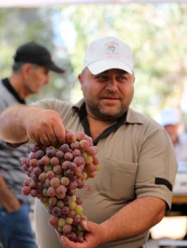 مهرجان العنب في رام الله 
