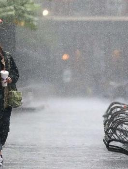 الاعصار نيت 