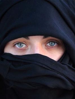 حظر النقاب في النمسا 