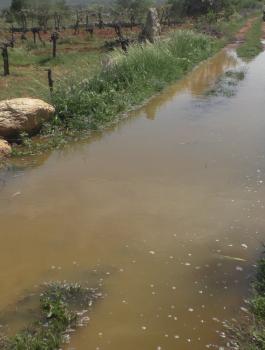 المستوطنون يغرقون الاراضي الزراعية  