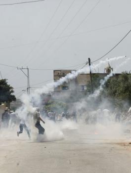 fcdf53427f684840f489cd1ad1e08aa6