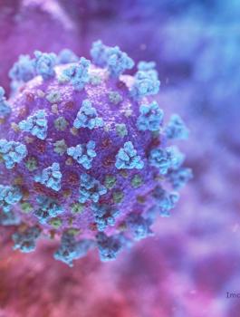 فيروس كورونا والآثار السلبية للفايروس 