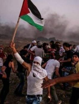 regjt-jpeg-51096718141565339