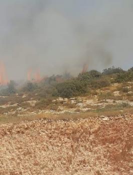 الحرائق في جنين 