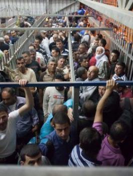 البطالة في فلسطين 