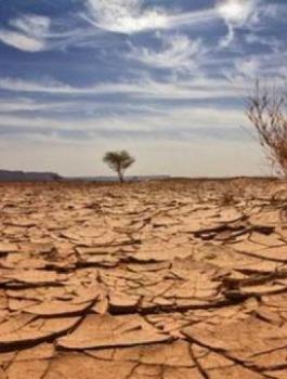  علماء: التقلبات المناخية من أسباب النزاعات المسلحة