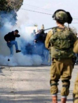 9998934986-1565797721