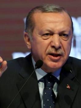 اردوغان وهولندا 