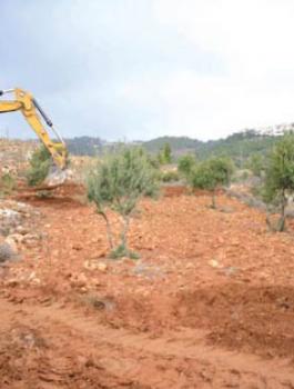 تجريف محمية واد قانا 