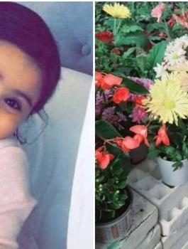 استشهاد سيدة وطفلتها في قصف اسرائيلي على غزة 