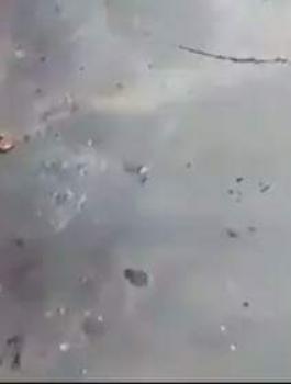 لانا علاء صبح 