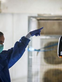 اسرائيل وحظر التجوال 