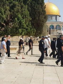 اقتحام المسجد الأقصى 