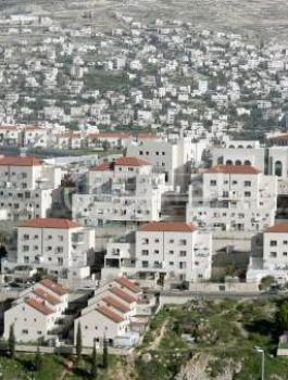 695b7f15aac53c8e06c40d88ed4c04c7