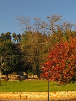 حالة الطقس في فلسطين 