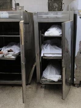 الشهداء في غزة 