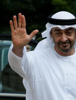 محمد بن زايد والامارات 