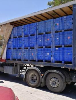 ضبط 42 صندوق بطيخ مجهول المصدر في نابلس