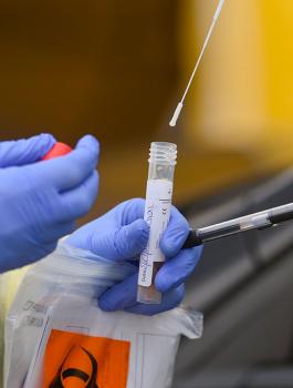 وزارة الصحة وفيروس كورونا في فلسطين 