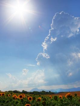 حالة الطقس في فلسطين 