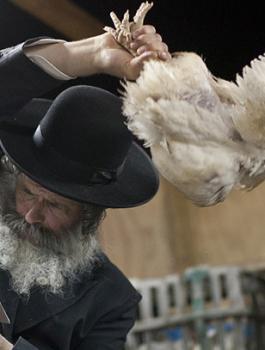 المستوطنون يقتحمون كفل حارس 