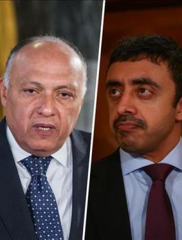 الدول المقاطعة لقطر