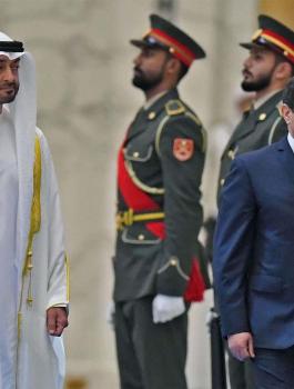 السيسي والامارات 