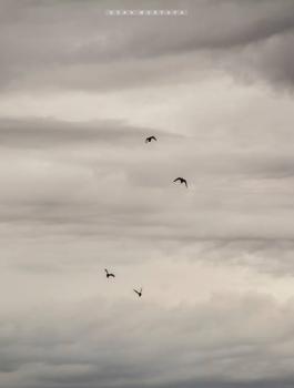 حالة الطقس في فلسطين 