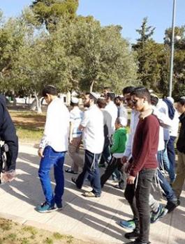 63 مستوطنا يقتحمون المسجد الأقصى