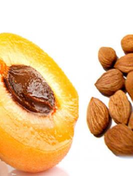 7e93eeaa-0f79-4338-b417-1978b6409b3c_16x9_600x338