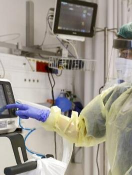 اصابات بفيروس كورونا في فلسطين 