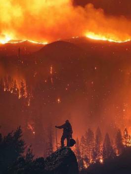 حرائق الغابات في كاليفورنيا 