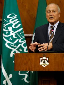 أبو الغيط: الترهيب لن يؤدي إلى قمع الفلسطينيين بل إلى انفجار الوضع