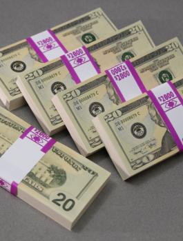 احتيال على سيدة ضريرة من غزة 