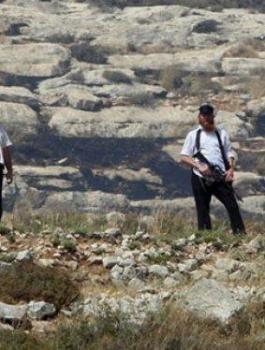 هجمات للمستوطنين في برقة 