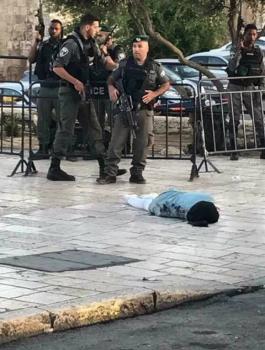 الشهيدة فاطمة حجيجي 