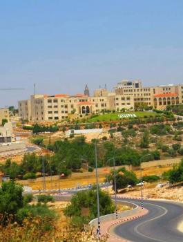 مشاريع في الجامعة الامريكية 