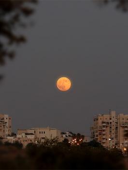 خسوف جزئي للقمر في فلسطين 