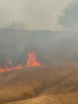 حرائقب في مستوطنات غلاف غزة 