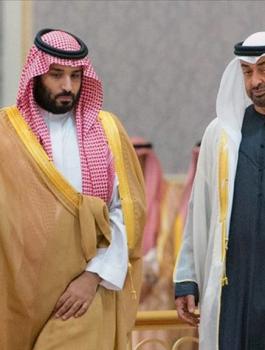 تركيا والسعودية والامارات 