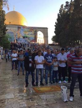 13606605_1102190843188688_1972591158189329464_n