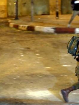 image_750x_5e0113c3d307c