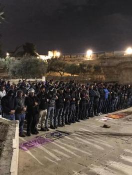 الازهر والمسجد الأقصى 