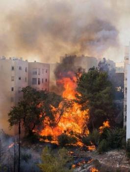 انخفاض معدل الحرائق والإنقاذ في فلسطين مقارنة بالعام الماضي