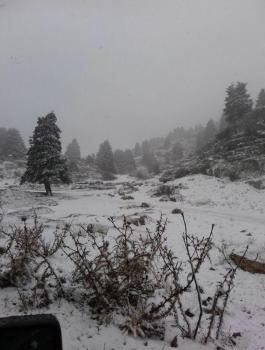 الثلوج تغطي جبال لبنان لأول مرة هذا الموسم والحرارة تلامس الصفر