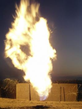 نائب اردني وخط الغاز الاسرائيلي 