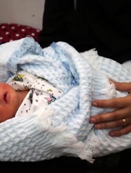 المواليد في قطاع غزة 