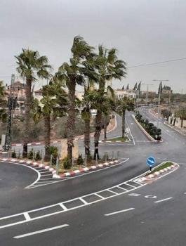 اطلاق العناقيد الزراعية في سلفيت 