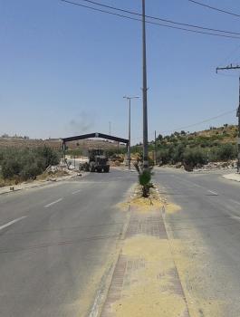 13524468_1199179086825657_1659430009743852732_n