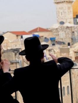 الاهر الشريف 